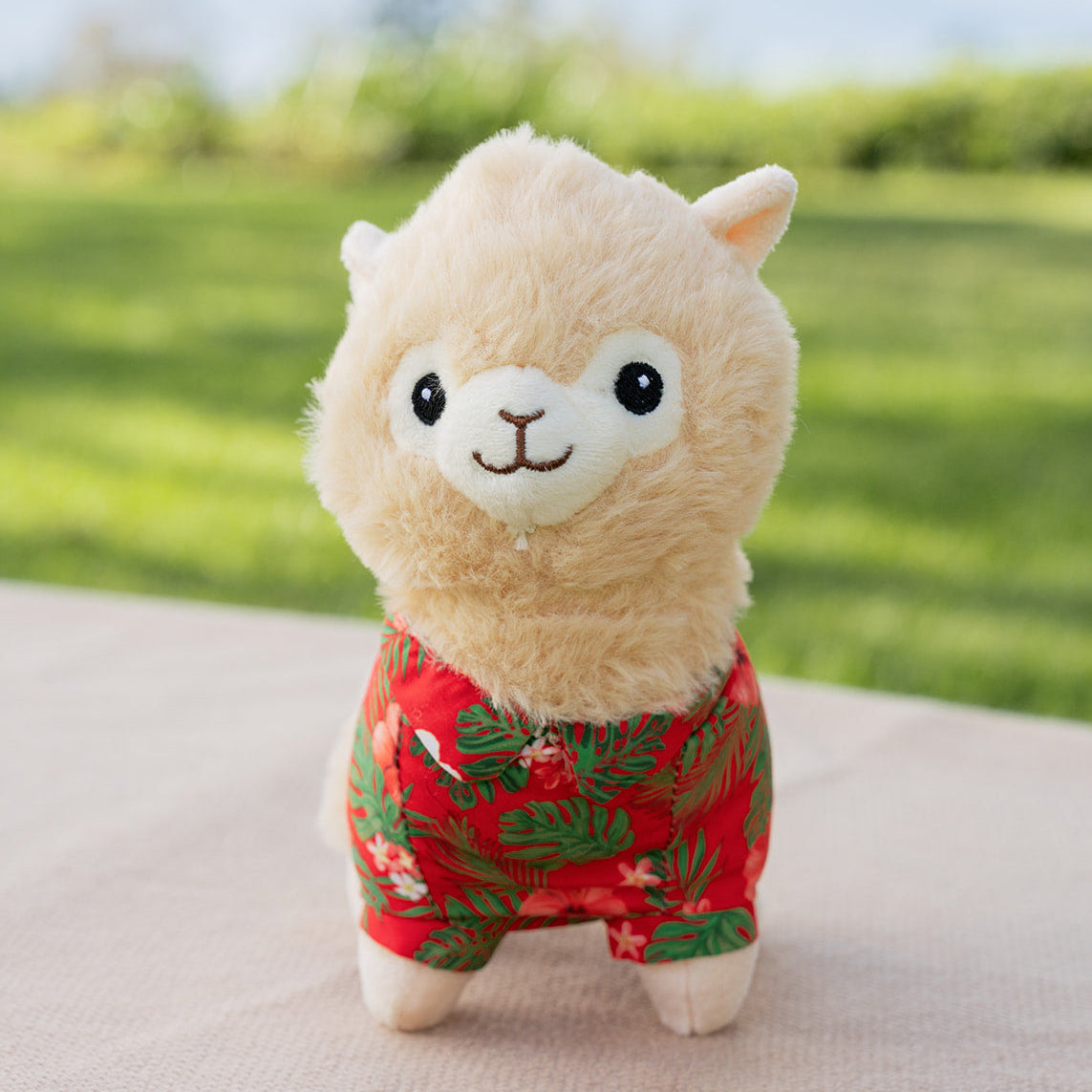 Aloha Squeaky Alpaca Plush